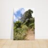 The Winding Path - Original Photographic Print On Canvas