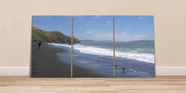 Seagulls By The Shore - Original Photographic Print On Three Canvases
